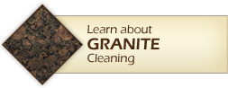 grout cleaning